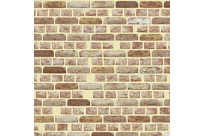 nelissen oud haspengouw baekel