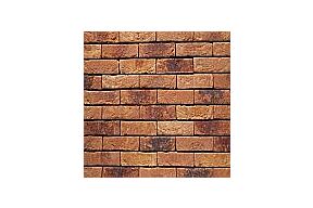 Vandersanden Primula