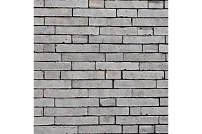 evolution Silver Blue olivier bricks