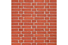 Terca Rodelandse Rijnvorm