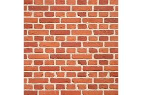 Terca Rupelse Rijnvorm