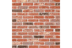 ploegsteert Tamburo t17134