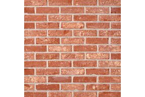 ploegsteert Tamburo t18236