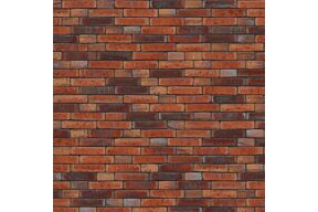 Nelissen Caprice Telica wasserstrich