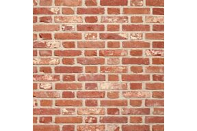 Wienerberger Tongerse Rijnvorm per stuk (Max. 660 st.)