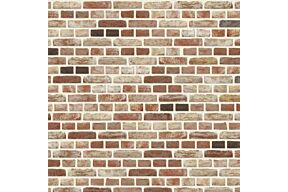 nelissen vega baekel