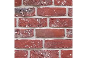 Vandemoortel Veldbrand Rood