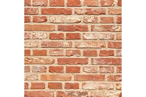 Terca Zevendonkse Rijnvorm