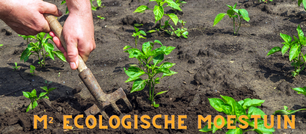 Vierkante meter moestuin kopen