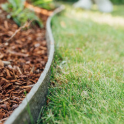 achat d'ecolat en rouleau